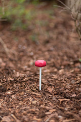 Kerbl Artikel 299836 im Online Shop kaufen