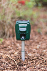 Kerbl Ultraschall-Tiervertreiber SonicFlash, integr. Solarpanel 1 Stück 299906