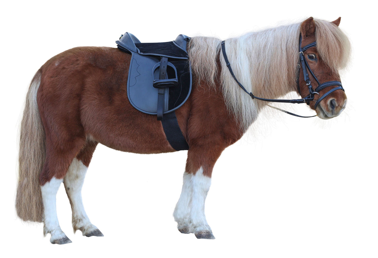 Kerbl Artikel 325415 im Online Shop kaufen