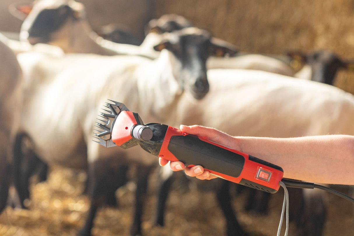 Kerbl Schafscherm.FarmClipper Profi 6-speed, 350W, 13/4 Z. 18261