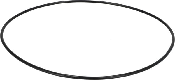 New Holland / Case O-RING - 2 STÜCK 190003120686 original CNH Ersatzteil