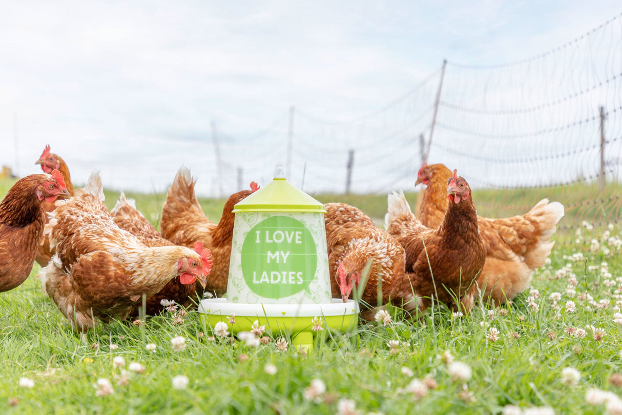 Kerbl Futterautomat für 4,8l/4kg,mit Füßen, grün mit Motiv - 70169