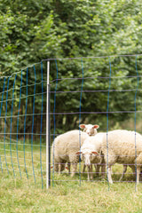 Kerbl Unterstützungspfahl für Weide- netze, 145cm, Ø14mm,verzinkt 1 Stück 27350