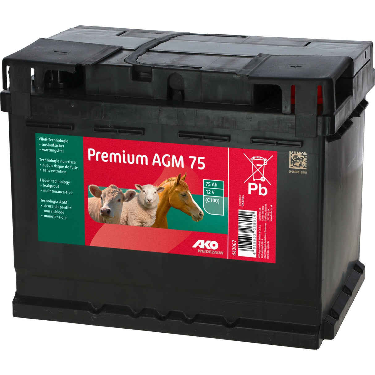 AKO Premium AGM Batterie 75 AH (C100) - 442067