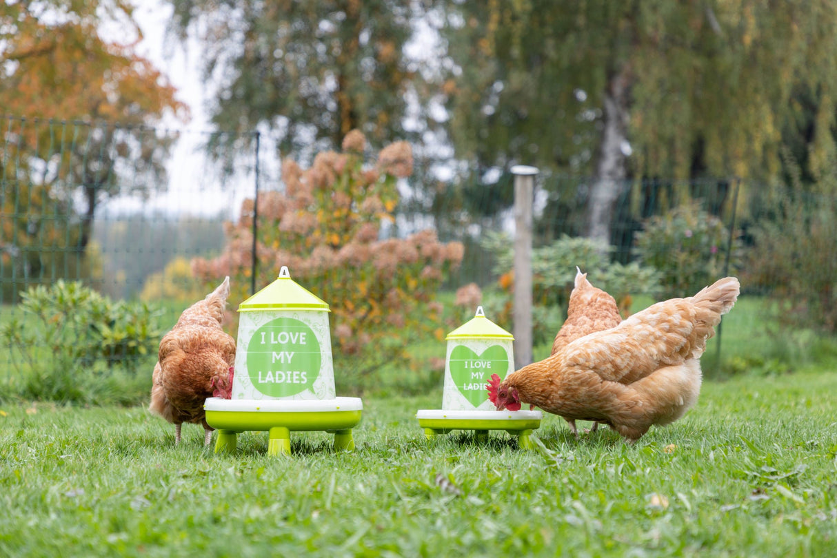 Kerbl Futterautomat für 2,4l/2kg,mit Füßen, grün mit Motiv - 70168
