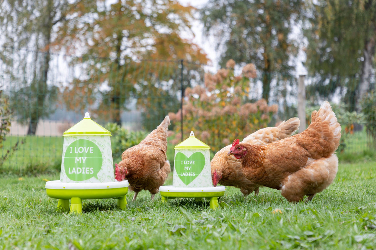 Kerbl Futterautomat für 2,4l/2kg,mit Füßen, grün mit Motiv - 70168