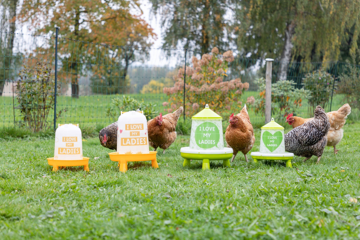 Kerbl Futterautomat für 2,4l/2kg,mit Füßen, grün mit Motiv - 70168