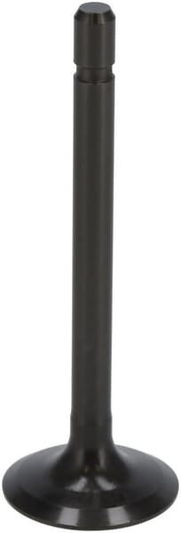 Kubota Einlassventil 1G67313112