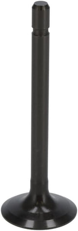 Kubota Einlassventil 1G67313112