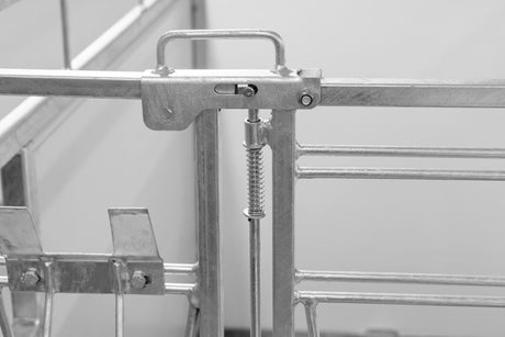 Kerbl Kälberbox groß Premium mit schwenkbarem Boden 160 x 100 cm - 14604