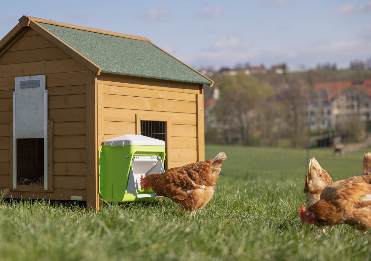 SmartCoop Hühner Futterautomat mit Schutzklappe, 7,5 kg - 70660