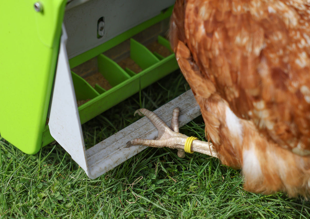 SmartCoop Hühner Futterautomat mit Schutzklappe, 7,5 kg - 70660