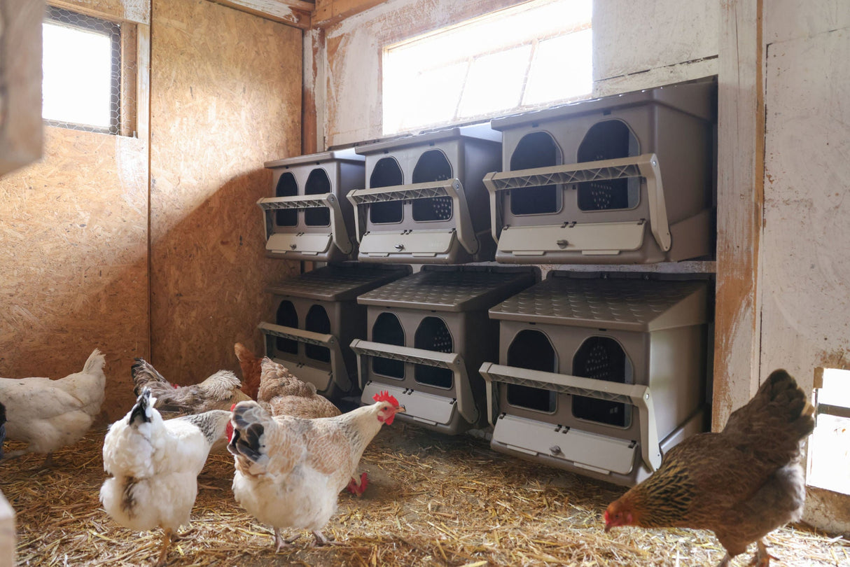 Kerbl Doppellegenest aus recyceltem Kunststoff, unverpackt - 73146 - 18 Stück