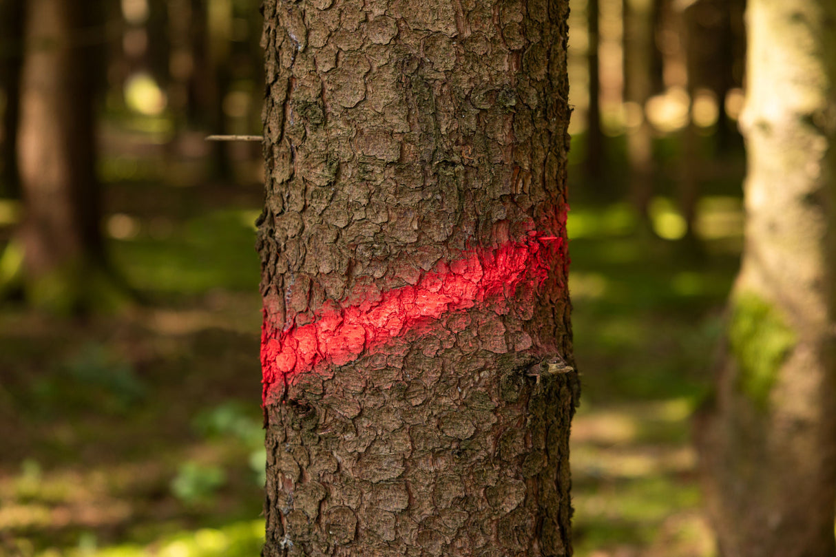 Kerbl Markierungsspray Forst Neon neonrot, 500ml - 291402