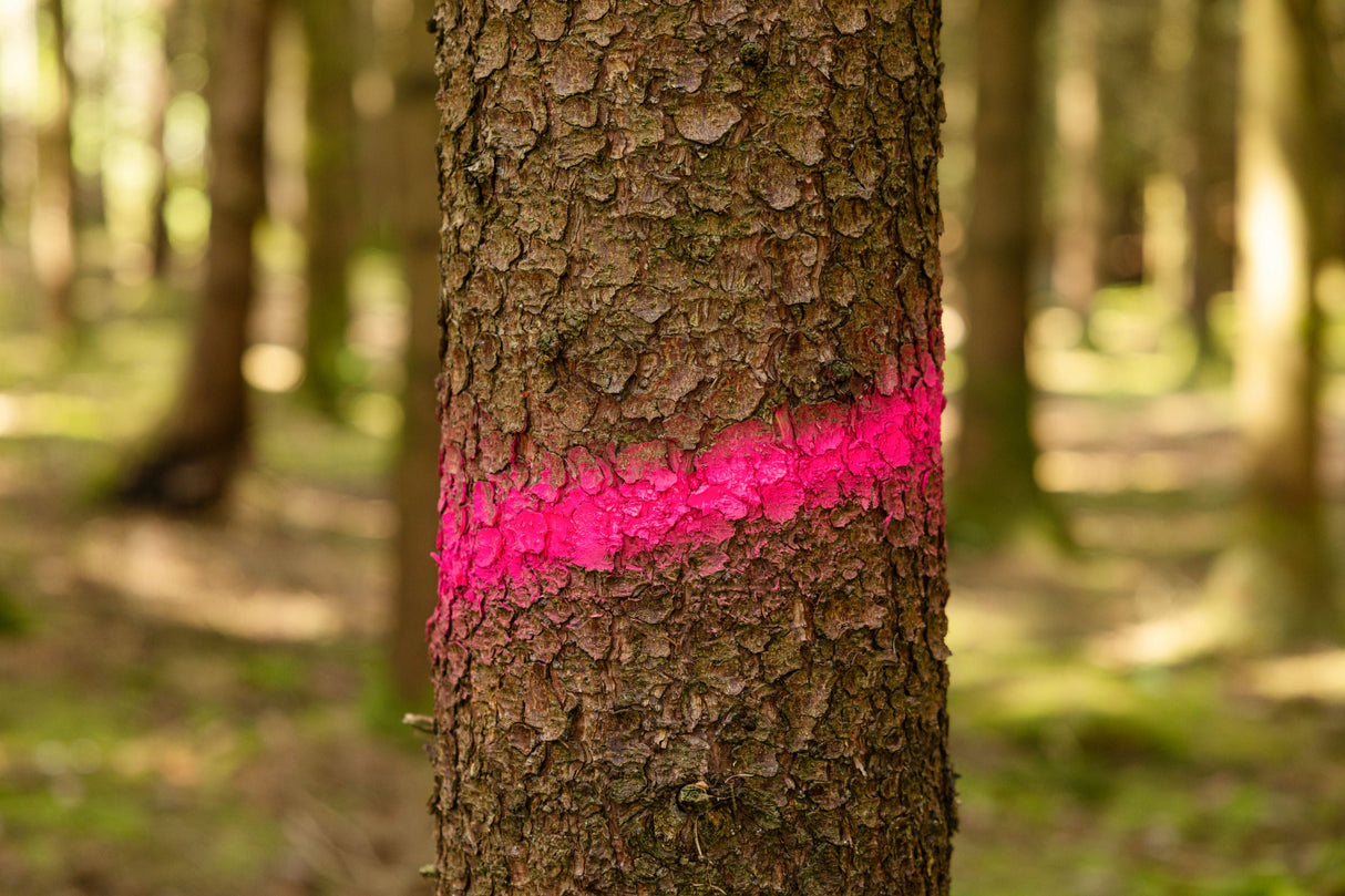 Kerbl Markierungsspray Forst Neon neonpink, 500ml - 291403