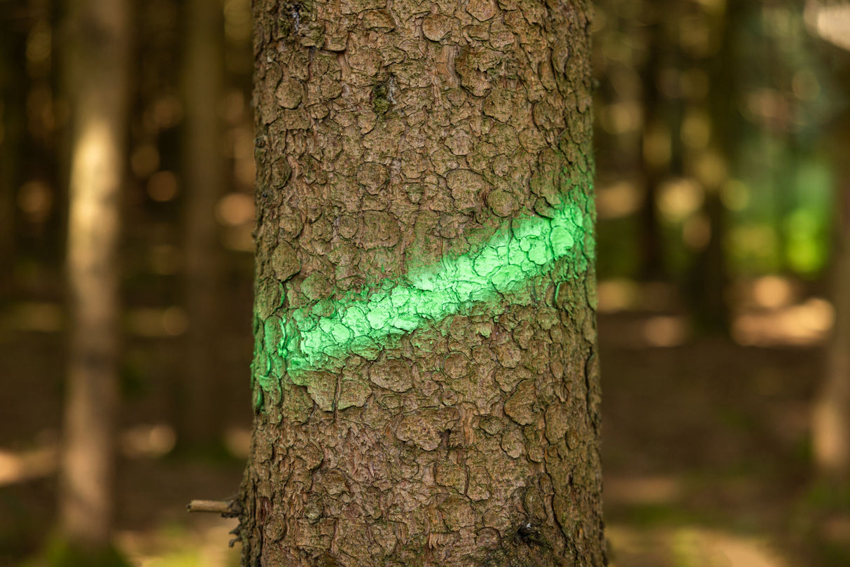 Kerbl Markierungsspray Forst Neon neongrün, 500ml - 291405