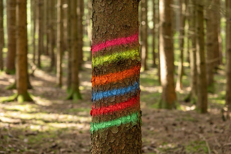 Kerbl Markierungsspray Forst Neon neonrot, 500ml - 291402