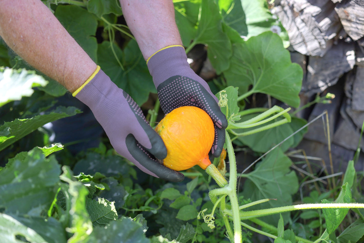 Kerbl Gartenhandschuh Blossom, Gr. 6 lila genoppt, Gr. 6/XS - 298036