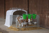 Kerbl CalfHouse Kälberiglu Premium DUO mit Umzäunung - 14618