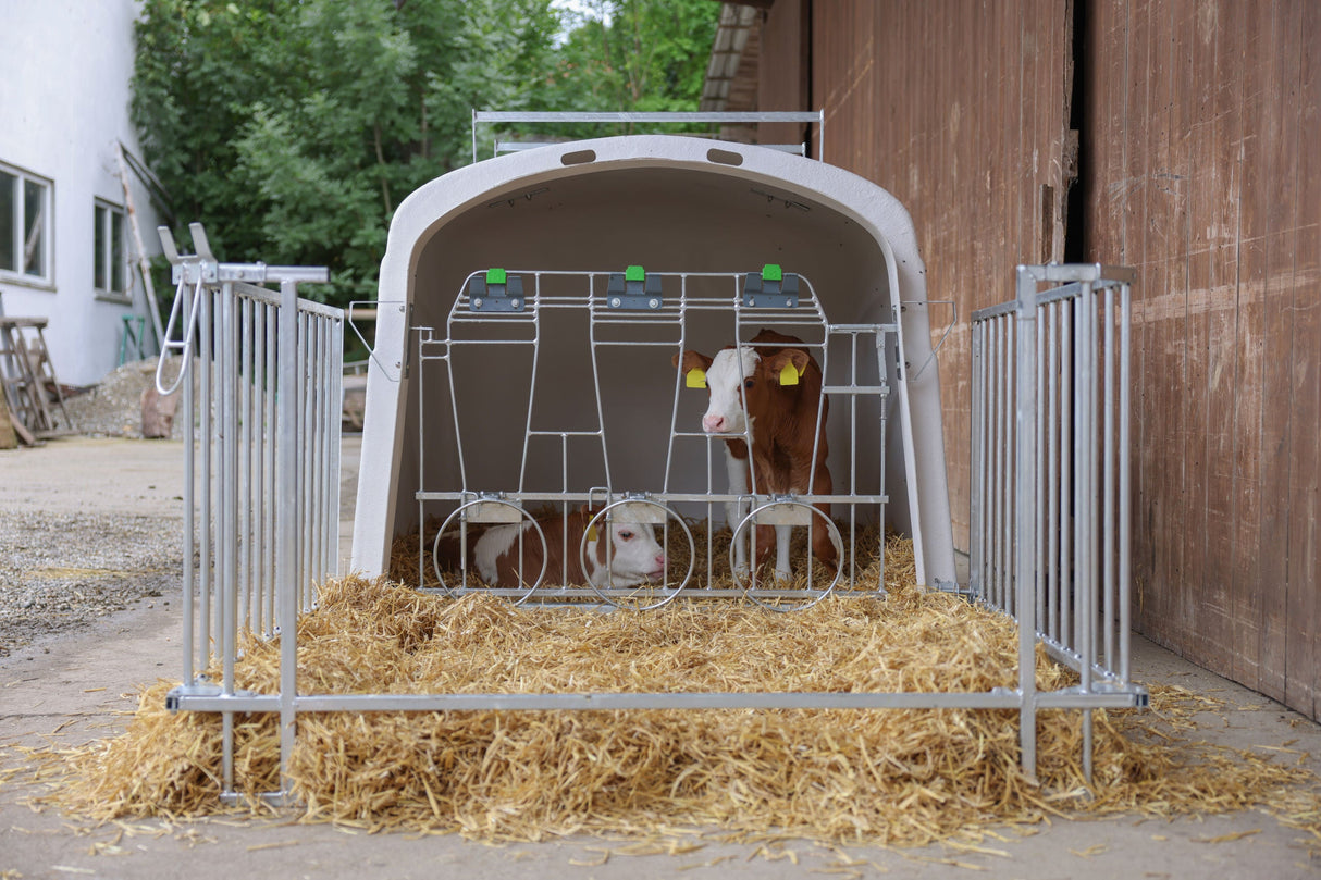 Kerbl CalfHouse Kälberiglu Premium DUO mit Umzäunung - 14618