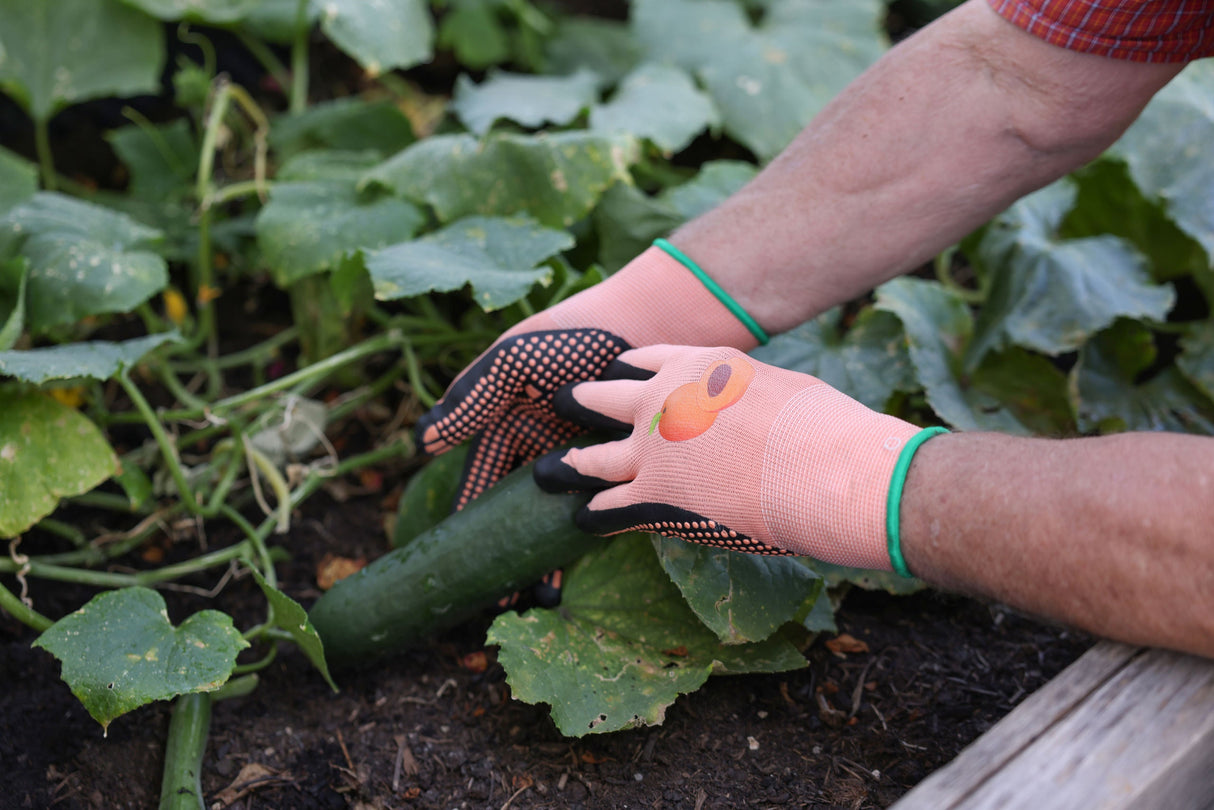 Kerbl Gartenhandschuh Blossom, Gr. 6 apricot, genoppt - 298056