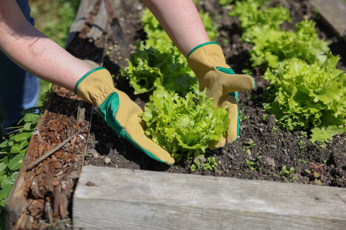 Keron Handschuh Gardener, Gr. 6 grün-braun, Mikrofaser - 298040