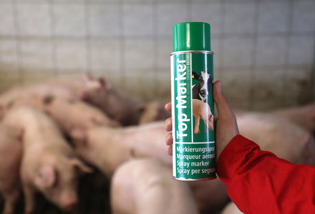 Kerbl Artikel 20157 im Online Shop kaufen