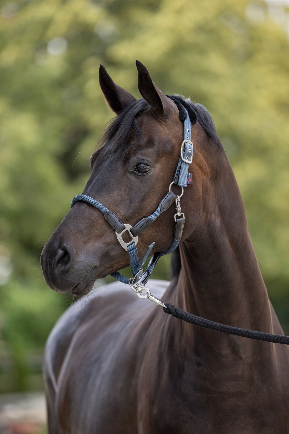 Kerbl Artikel 3297737 im Online Shop kaufen