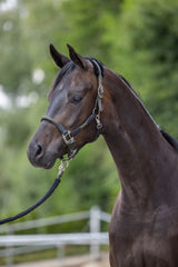 Kerbl Artikel 3297740 im Online Shop kaufen