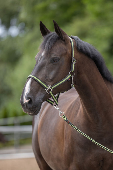 Kerbl Artikel 325902 im Online Shop kaufen