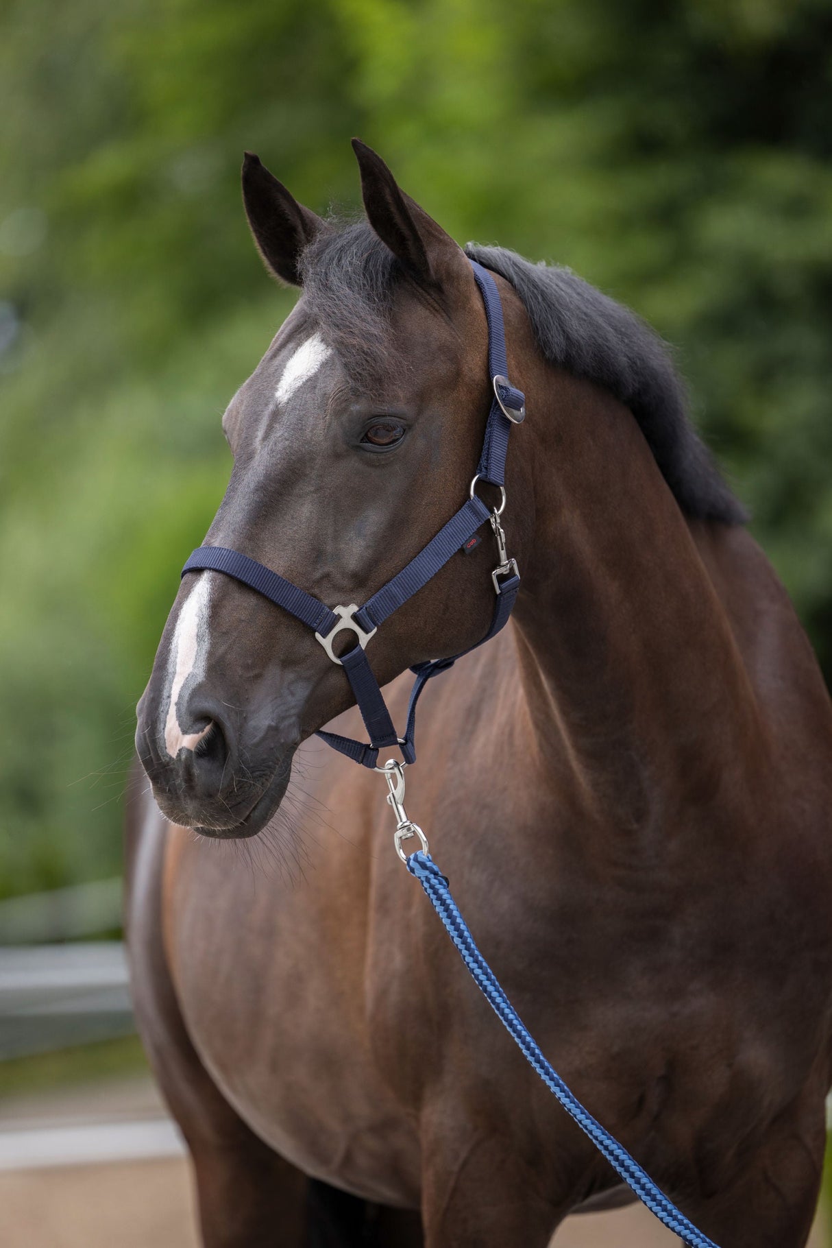 Kerbl Artikel 3222129 im Online Shop kaufen