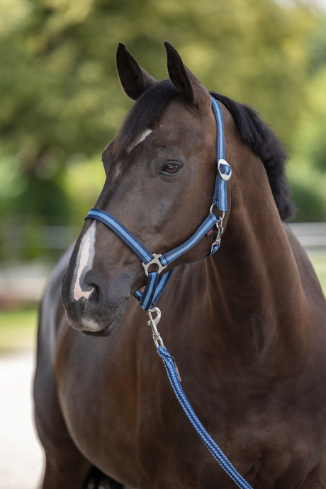 Kerbl Artikel 321903 im Online Shop kaufen