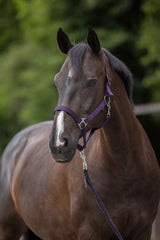 Kerbl Artikel 3222135 im Online Shop kaufen