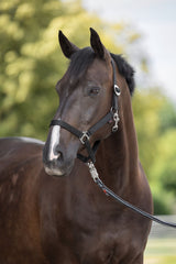 Kerbl Artikel 3222123 im Online Shop kaufen