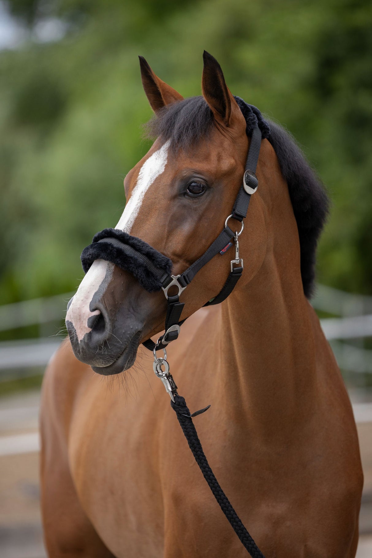 Kerbl Artikel 3224754 im Online Shop kaufen