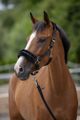 Kerbl Artikel 3224754 im Online Shop kaufen