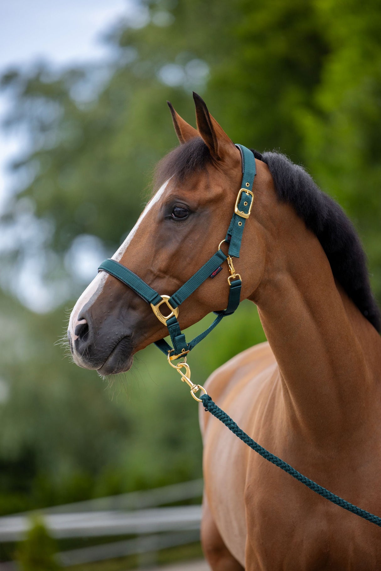 Kerbl Artikel 3224619 im Online Shop kaufen