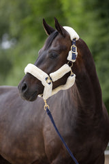 Kerbl Artikel 3224641 im Online Shop kaufen