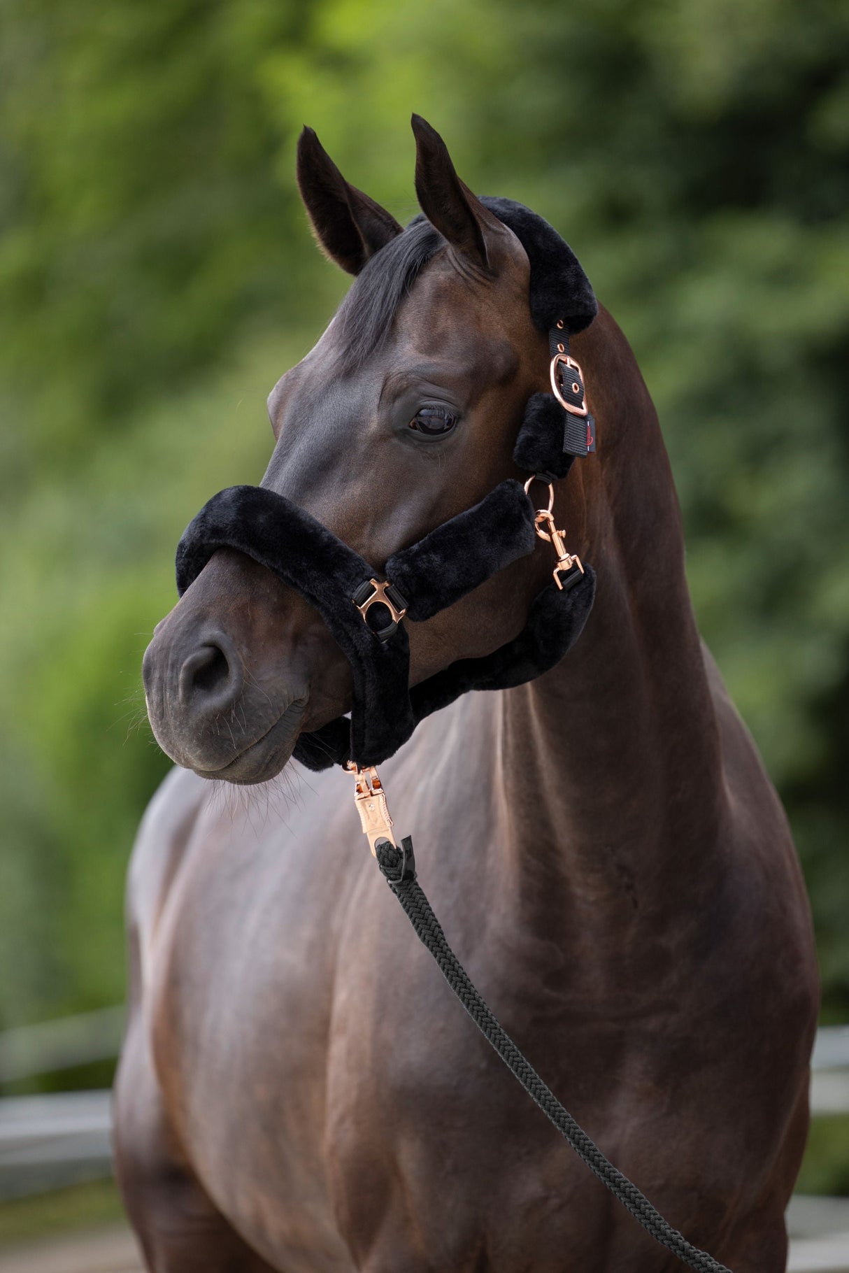 Kerbl Artikel 3224638 im Online Shop kaufen