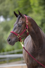 Kerbl Artikel 3224737 im Online Shop kaufen