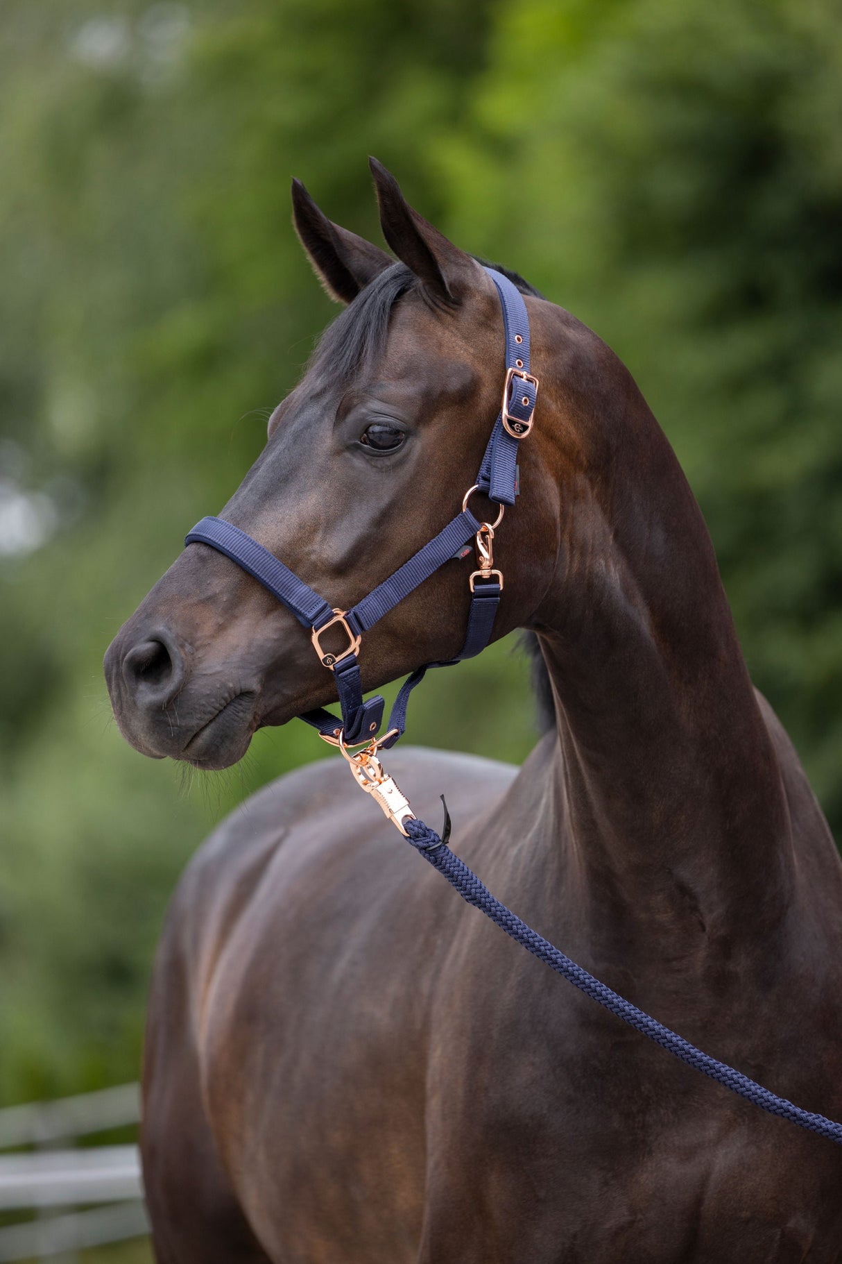 Kerbl Artikel 3224729 im Online Shop kaufen