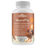 Ida Plus MineralPlus 280g Dose Ergänzungsfuttermittel für Geflügel - 73189