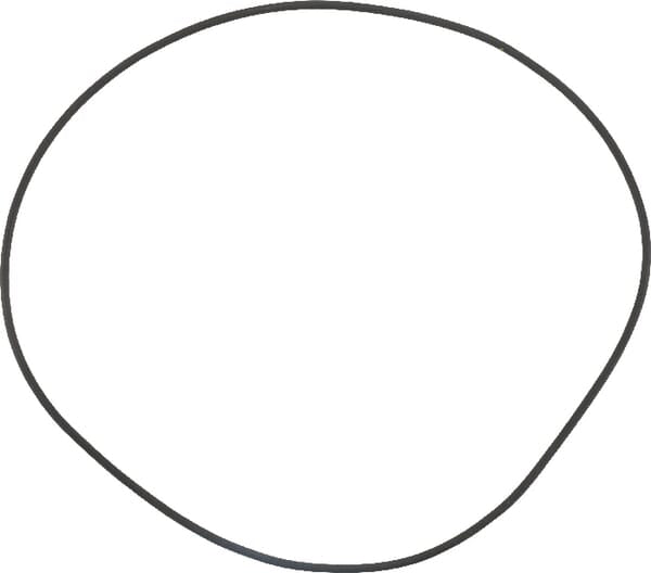 SDF Group O-Ring 215302940