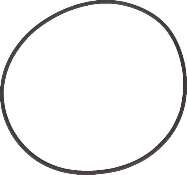SDF Group O-Ring - 1 Stück - 21539214010