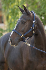 Kerbl Halfter Doria, navy Shetty - 3228199