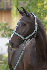 Kerbl Halfter Doria, jade green Pony - 3228204