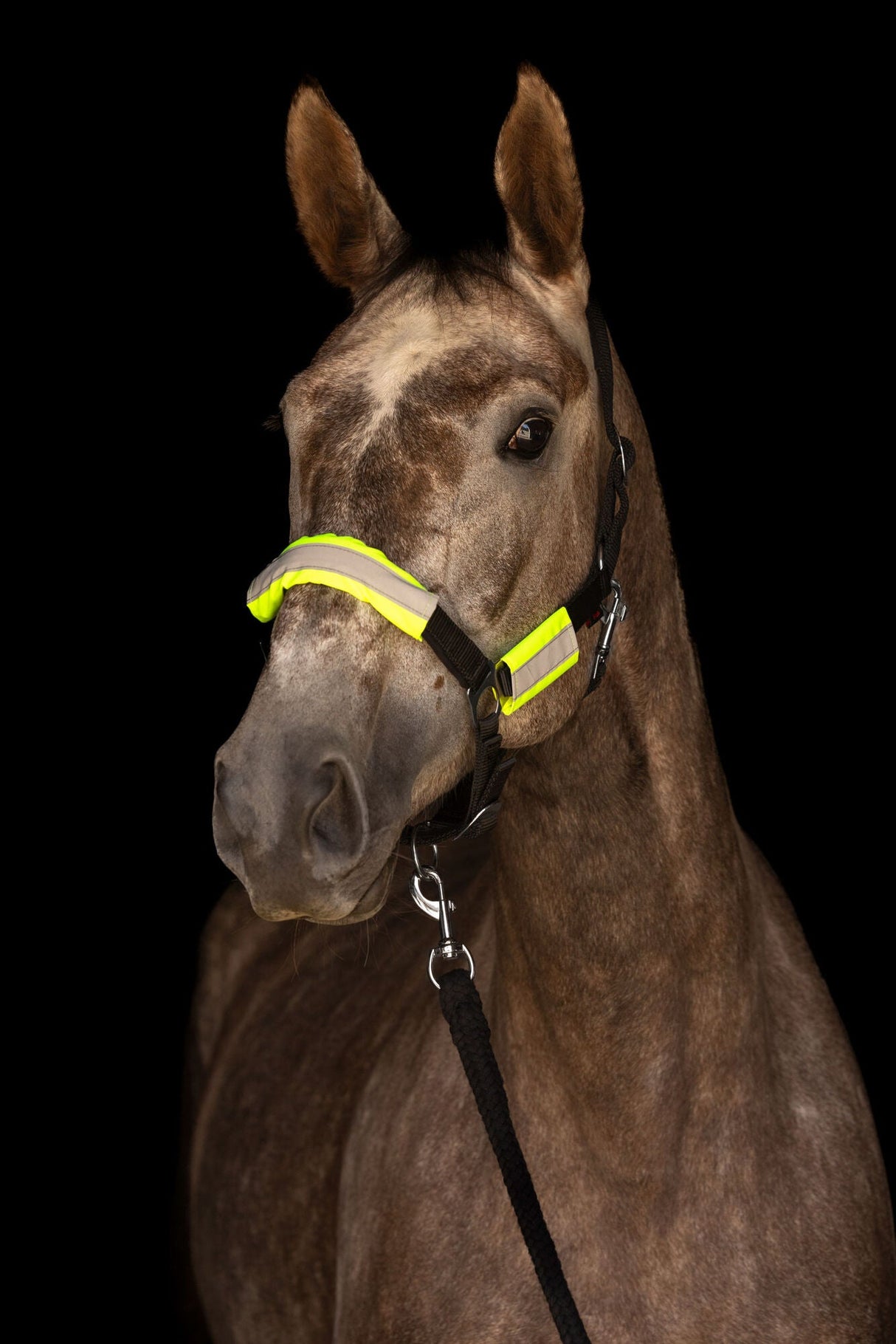 Kerbl Reflextrensen- und Halfterset - 3228170