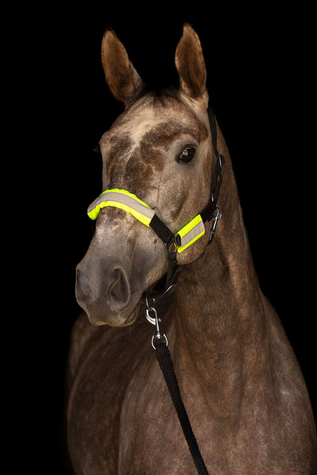 Kerbl Reflextrensen- und Halfterset - 3228170