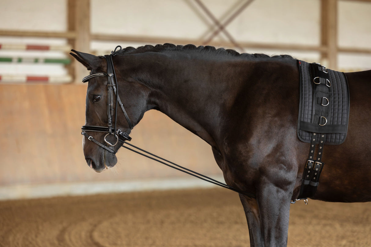 Kerbl Artikel 323600 im Online Shop kaufen