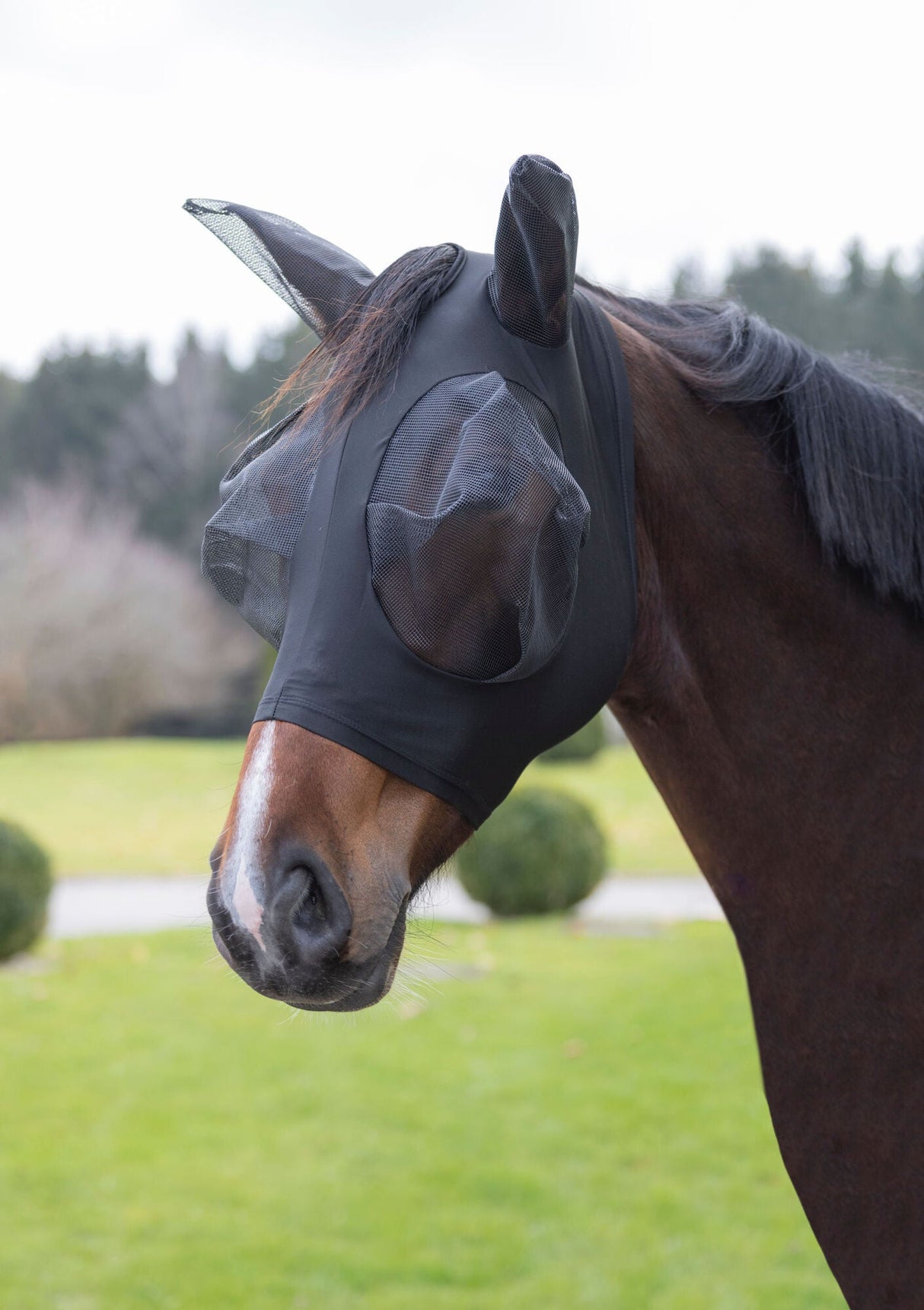 Kerbl Fliegenschutzmaske FinoStrech schwarz, Pony - 3229050